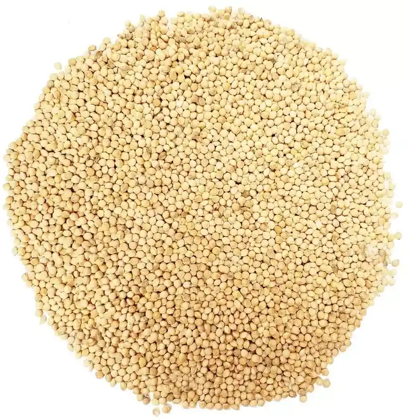 دخن