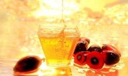 RBD Palm Kernel Oil